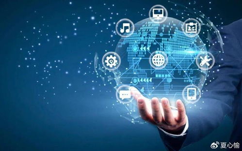 踏浪數字化浪潮，銀聯商務如何成為企業管理咨詢的“多面手”？